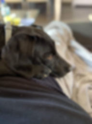 received_522052885040814.jpeg