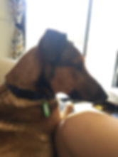 image1.jpeg