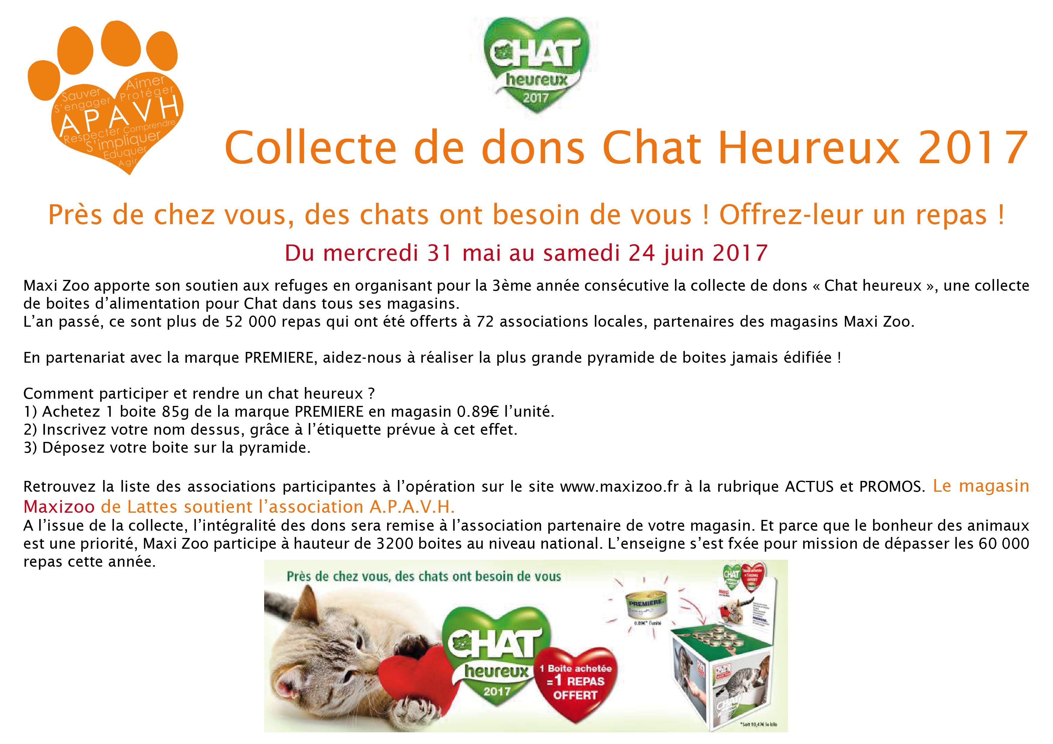 Dons chats heureux!