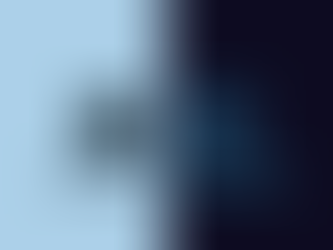 Adobe Photoshop x Adobe Lightroom