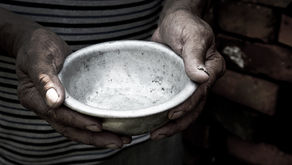 A preservação dos biomas, a crise hídrica e a fome