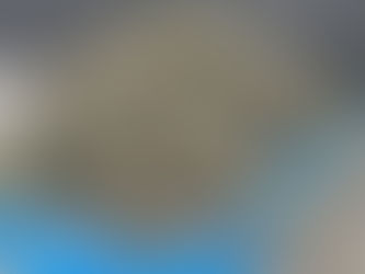 またこの季節がやって来た😫(慈信)