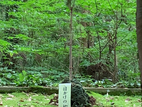 宮崎生目神社参拝(峰川)