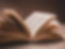 Publication of book on liturgy 