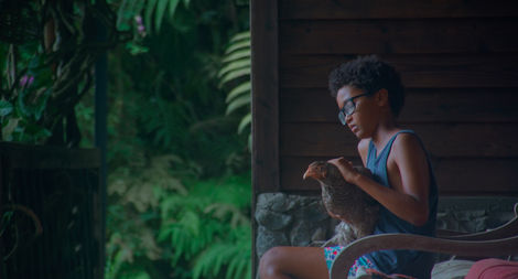 La vérité sur Alvert, le dernier Dodo - Nathan Clement