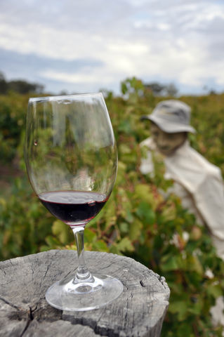 你與杯酒有仇？