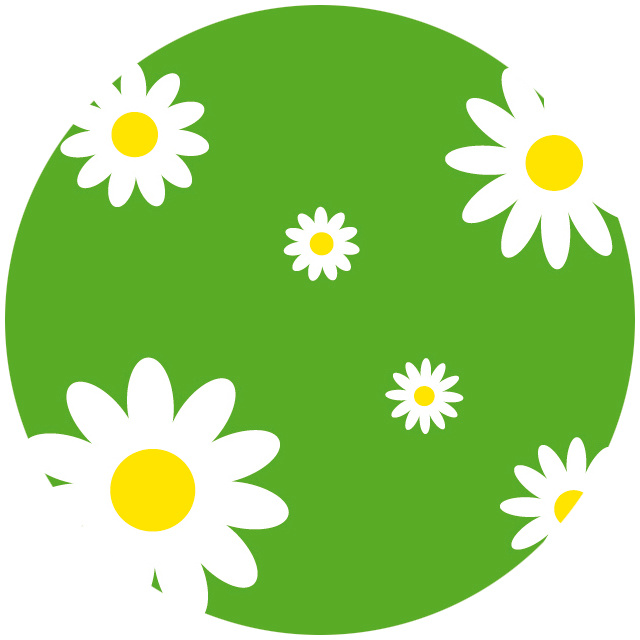 Bild von der Webseite von Bring Blumen