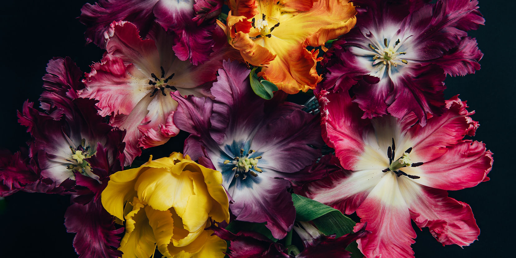 shutterstock_1959737113_edited.jpg