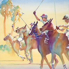Sarasota Polo