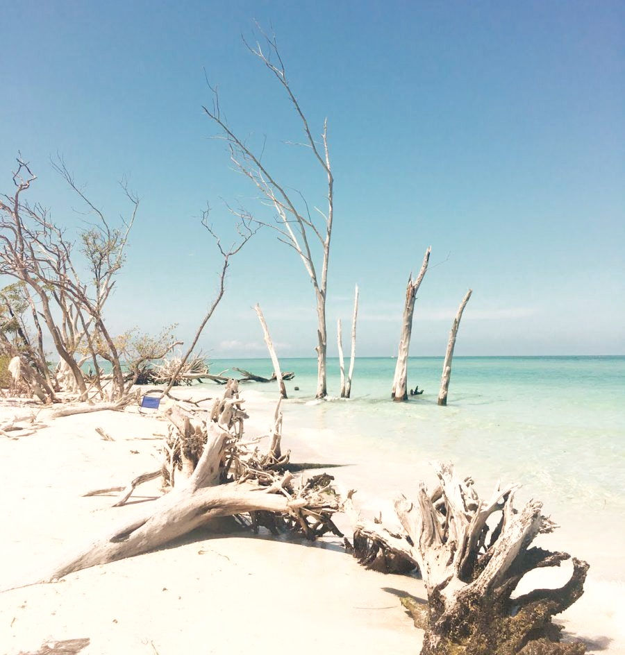 Thumbnail: Longboat Key
