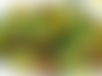 Roasted Brussels Bowls with Spicy Sausage