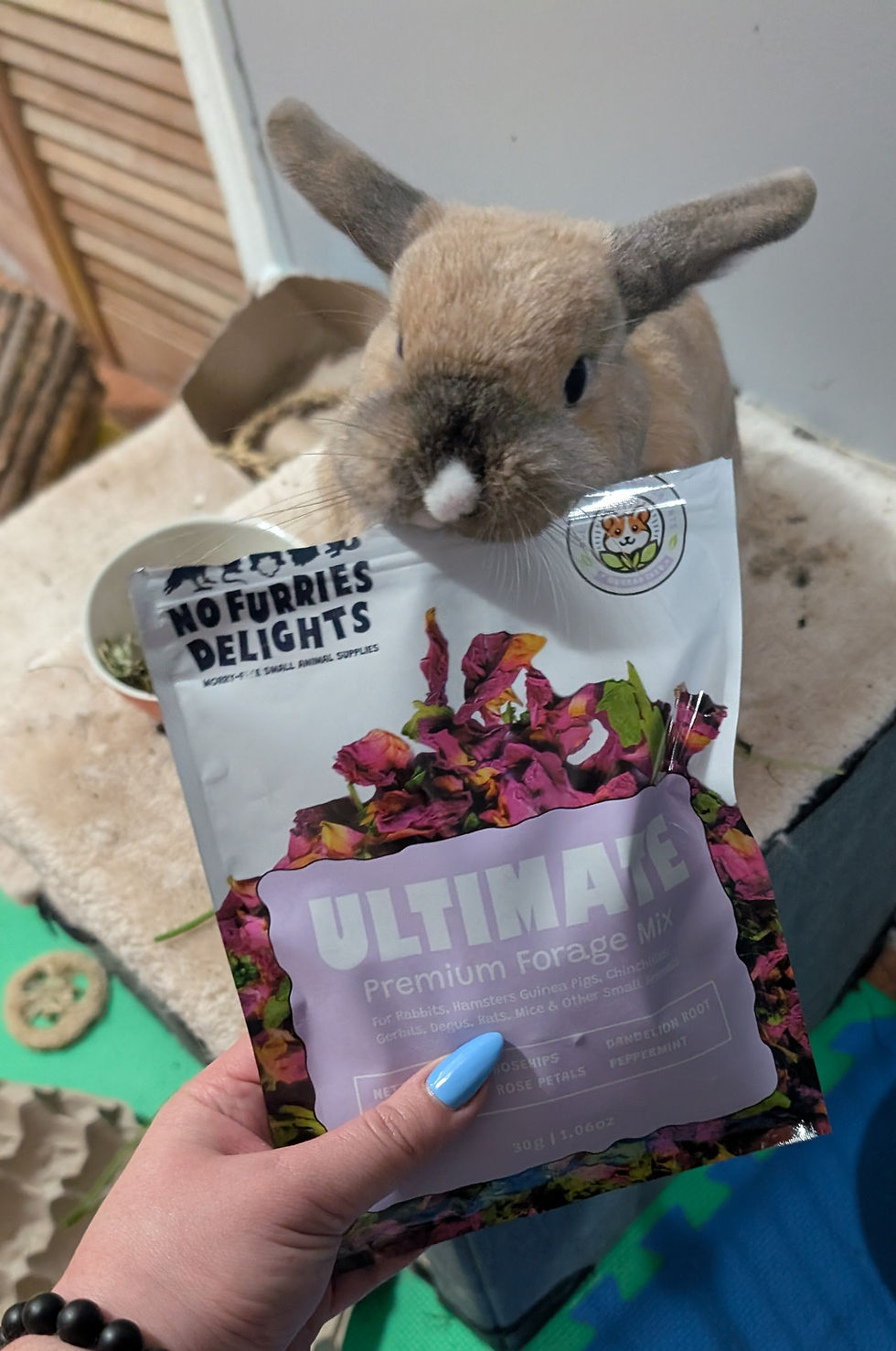 Thumbnail: Ultimate Forage Mix