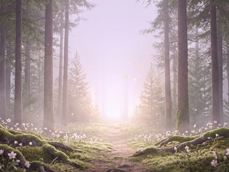 Mystischer Frühlingswald aus der Froschperspektive mit violett-goldenem Licht am Ende eines Waldwegs — Symbol für den Weg durch die innere Leere