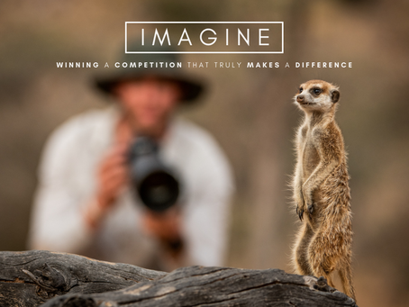 Imagine Competition: Terms and Conditions
