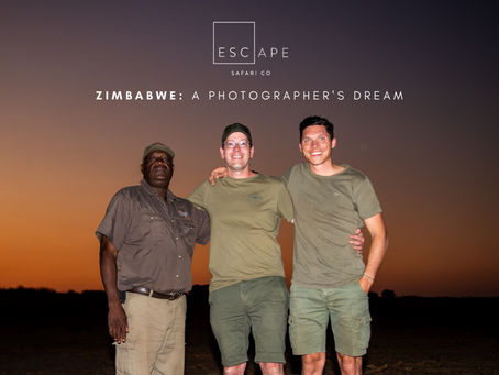 Zimbabwe, a photographers dream!