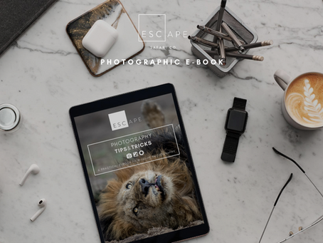Photographic E-Book: A Practical Guide to Wildlife Photography