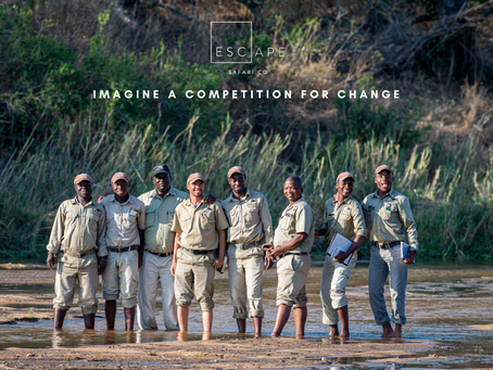 IMAGINE - A Competition that Truly Makes a Difference