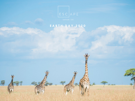 Earth Day 2020