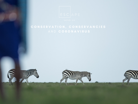 Conservation, Conservancies and Coronavirus