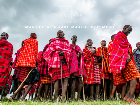 Manyatta: A Rare Maasai Ceremony