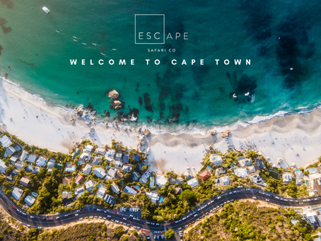 Escape is now in the Cape.