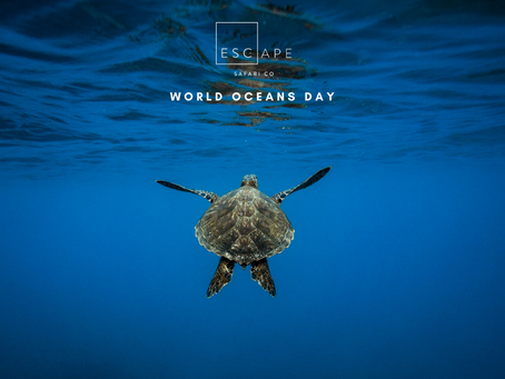 World Oceans Day