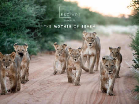 The Mother of Seven