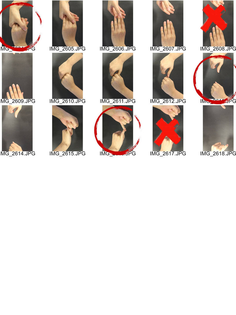 ContactSheet-001 (1).jpg