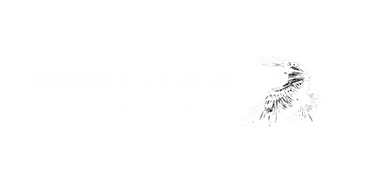 Sidney Black private investigator