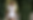 IMG_6946 - Edited.png