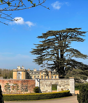 Image (39)_edited.jpg