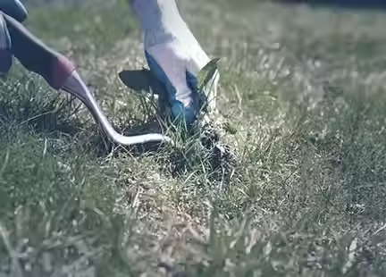 Roscoe’s Landscaping & General Maintenance