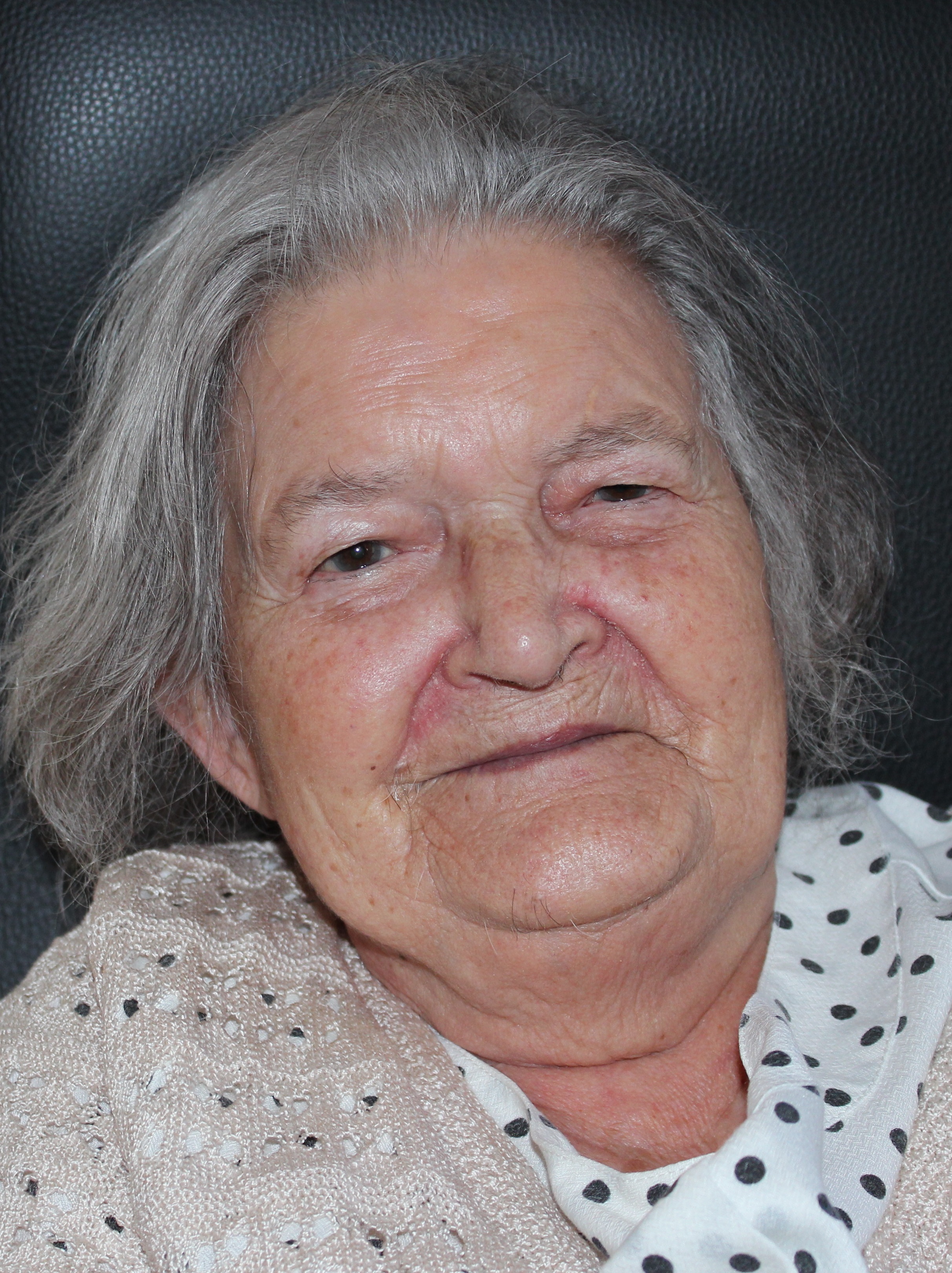 Delminda Lavrador