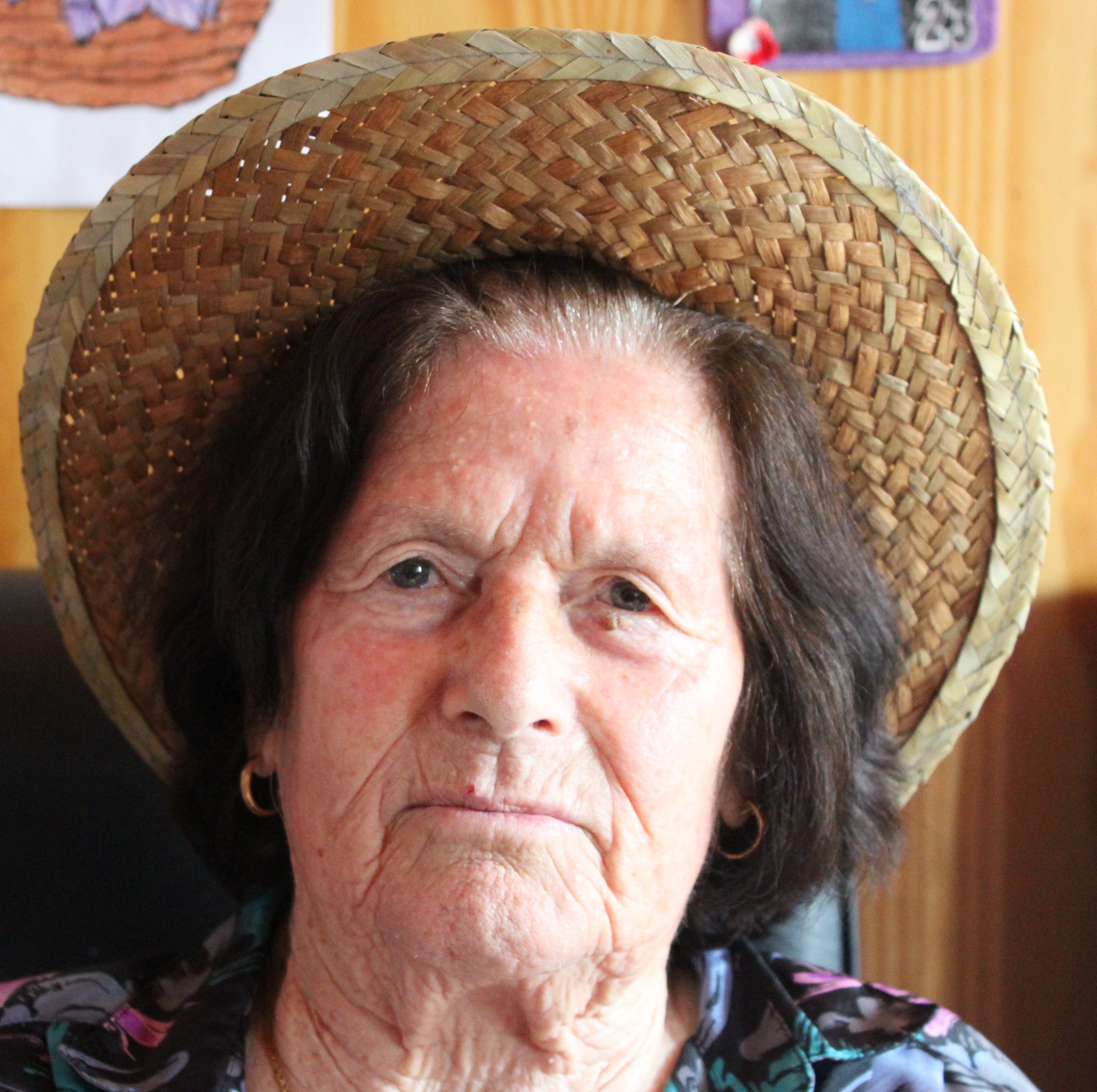 Arminda da Conceição