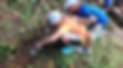 Kids-learning-ecology-summer-camp-Taiwan.jpg