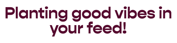 chickenAsset 275_4x.png