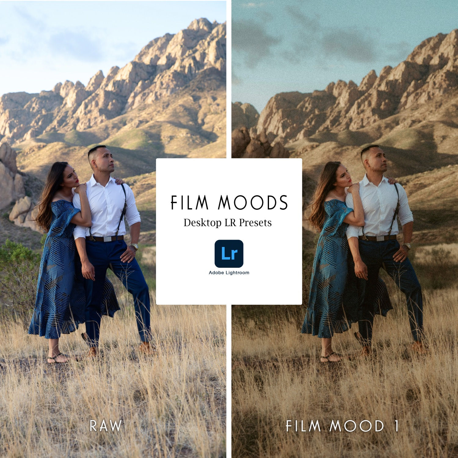 Film Moods Presets