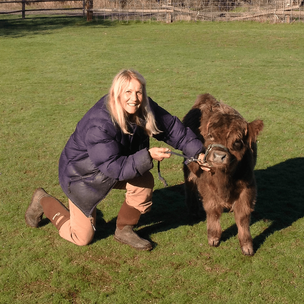 Linda Blaser with miniature highland calves