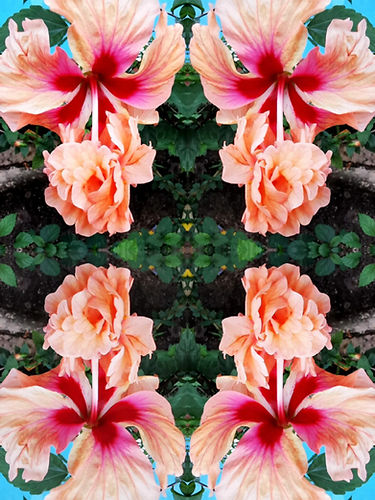 ART SELVA PERÙ - LIANE COSMOLOGOE D'UNE FEMME FORÊT_edited