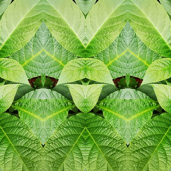 ART SELVA PERÙ - livre - musique - retraite Pérou - Chamanisme féminin - Lucille Ablin_edi