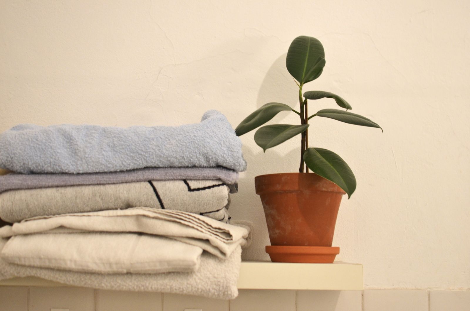 Folded towels and a potted plant
