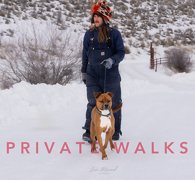 RR.Dogs.3.1.1.24.jpg