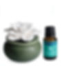 Thumbnail: Bloom porcelain passive diffuser home decor.  Decor and Wicks candle shop. DecorAndWicks