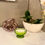 Thumbnail: LE Smith green moon and stars bowl filled scented soy candle
by Decor and Wicks Candle Shop