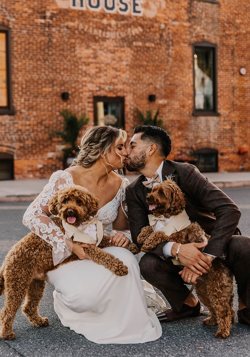 "Pets allowed at The Booking House for wedding celebrations"