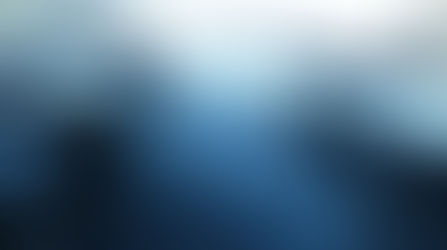 Moving forward by journeying back