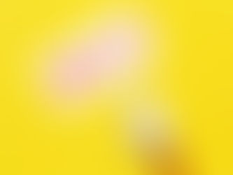 ふらっぷブログ、定期配信始めます!!