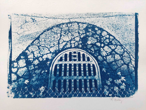 Karen Molloy Cyanotype on paper 5054
