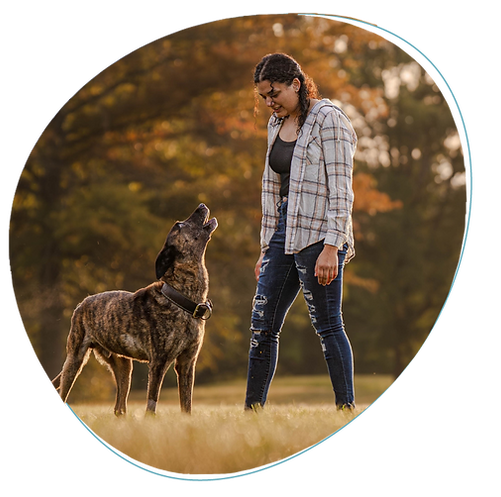 Autumn (Trainer - Map).png