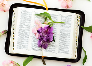 Women's hands coming together